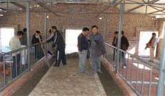 奶牛場設施設備有哪些，是如何分類的？