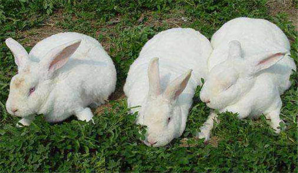 保證運(yùn)動(dòng)、多曬太陽