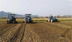 水稻直播高產(chǎn)栽培技術(shù):水直播的四個(gè)要點(diǎn)