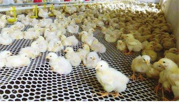 控制好溫、濕度