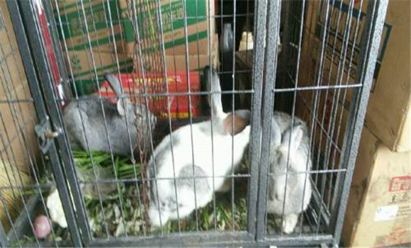 做好接產(chǎn)準備