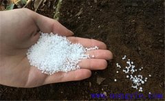 用尿素喂牛的方法，尿素喂牛應(yīng)注意的問題