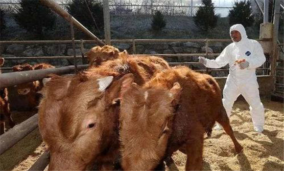 ?？谔阋咴\療失誤產(chǎn)生的原因及糾正