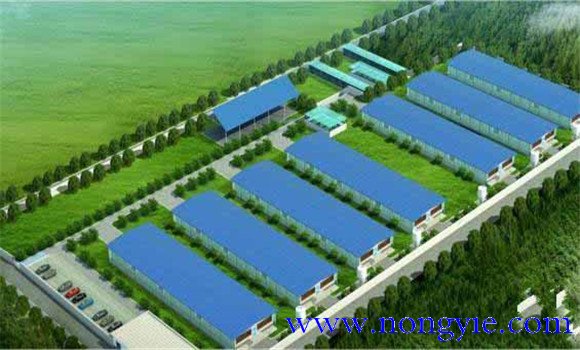 規(guī)?；B(yǎng)豬場選址要適當(dāng)