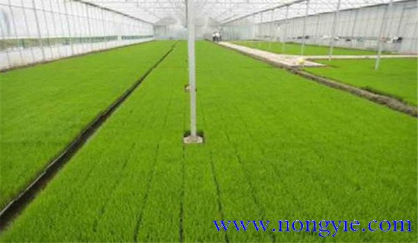 掌握好溫、濕度