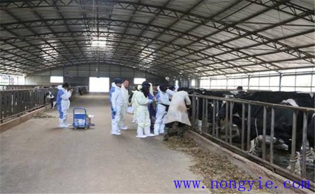 定期進(jìn)行預(yù)防接種、檢疫