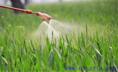 葉面肥的特點(diǎn)有哪些？常用葉面肥配制方法