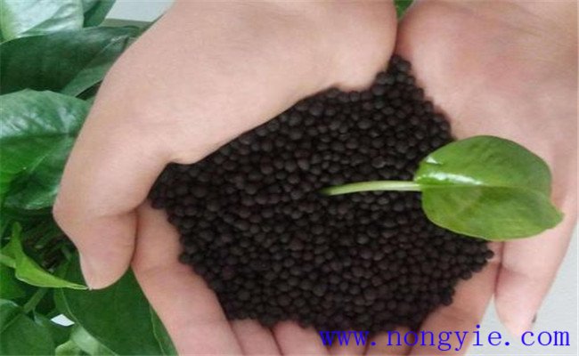 顆粒有機肥燒根嗎？