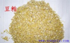 怎樣用豆粕喂牛，豆粕和豆餅喂牛效果一樣嗎？