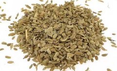 胡蘿卜分叉多是什么原因，怎樣種植胡蘿卜？