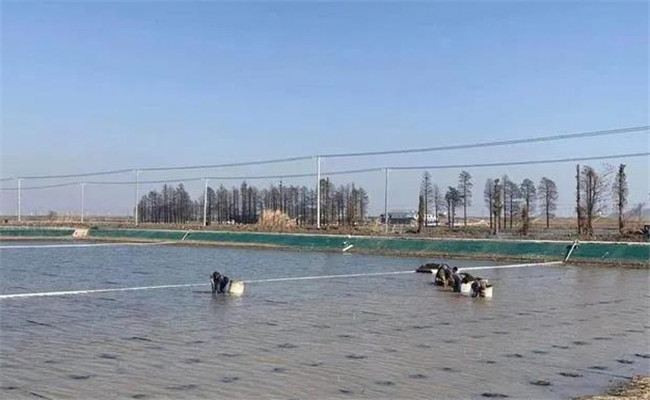 青蟹養(yǎng)殖技術(shù)與管理