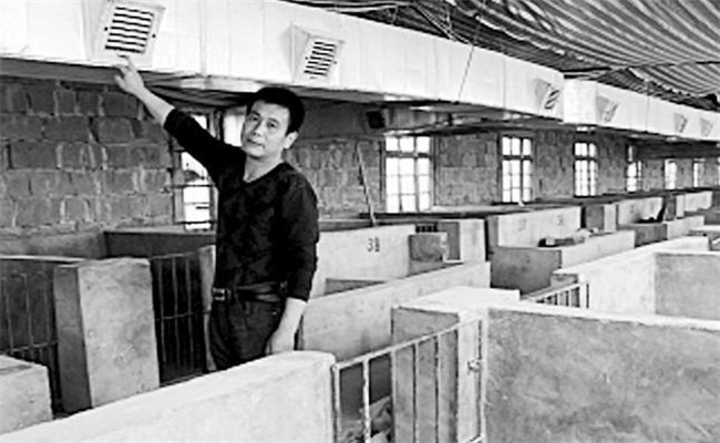 已使用過的豬圈、豬舍消毒方法