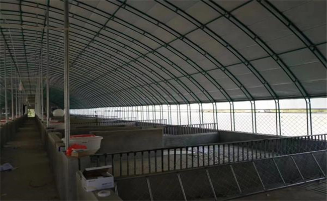 塑膜暖圈的建設方法，塑膜暖圈養(yǎng)豬的優(yōu)點