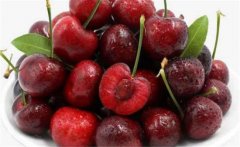 車?yán)遄右话銕自路萆鲜?？如何挑選車?yán)遄? /></a>
            <a href=