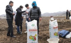 種豆角用什么做底肥，豆角如何追肥？