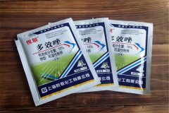 如何正確使用多效唑，用多了發(fā)生藥害怎么辦？