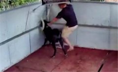 公羊頂人是什么原因引起的，公羊頂人怎么辦？