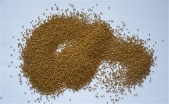 泥鰍的飼料以什么為主？養(yǎng)殖泥鰍的飼料建議配