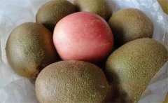 獼猴桃怎么催熟，獼猴桃不能和什么一起吃