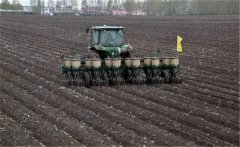 蠶豆的播種期、播種密度和播種方式