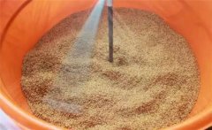 溫湯浸種方法與時(shí)間，溫湯浸種的溫度是多少？