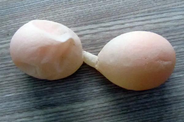 雞下軟蛋怎么辦、如何防治