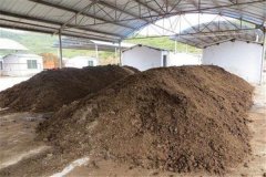 農(nóng)家肥是什么？農(nóng)家肥有優(yōu)點有哪些？