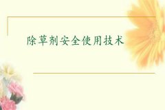 除草劑安全使用要點(diǎn) 發(fā)生除草劑藥害如何補(bǔ)救？