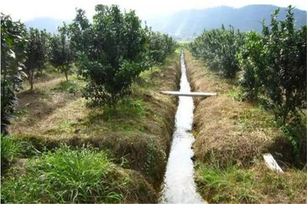 果園合理灌、排水