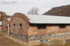 麝鼠圈舍建筑方法與要求有哪些？