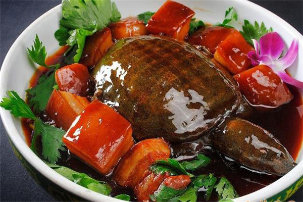 甲魚(yú)的營(yíng)養(yǎng)價(jià)值、性味功效