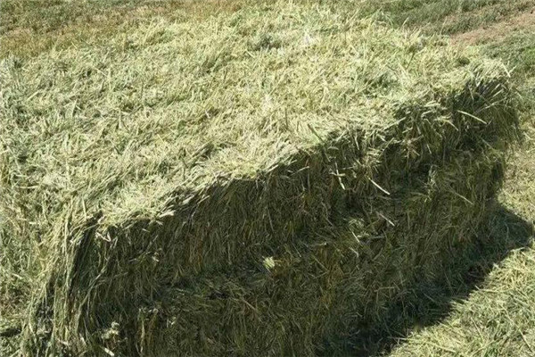 青干草的色、香、味