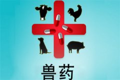 獸藥屬于藥品嗎？獸藥與人用藥的區(qū)別是什么？