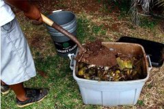 如何自制花肥？家庭養(yǎng)花自制花肥的小妙招