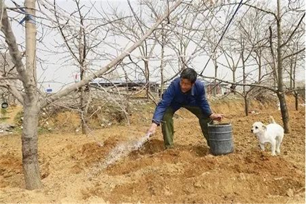 實(shí)施混施、深施