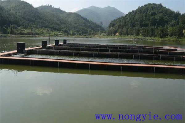 科學(xué)使用藥物，預(yù)防疾病發(fā)生