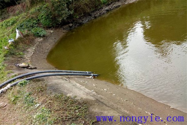 魚池要有補水、補氧設(shè)施