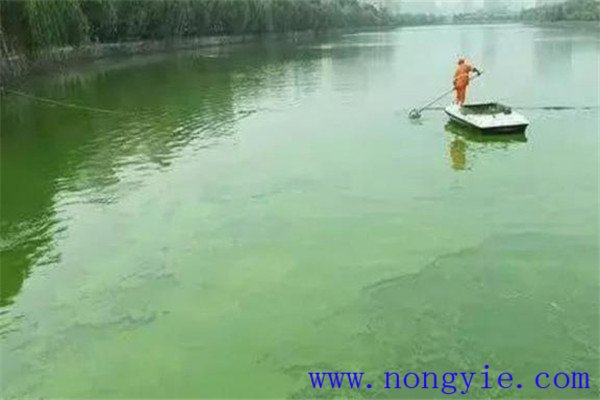 調(diào)，即調(diào)節(jié)水質(zhì)