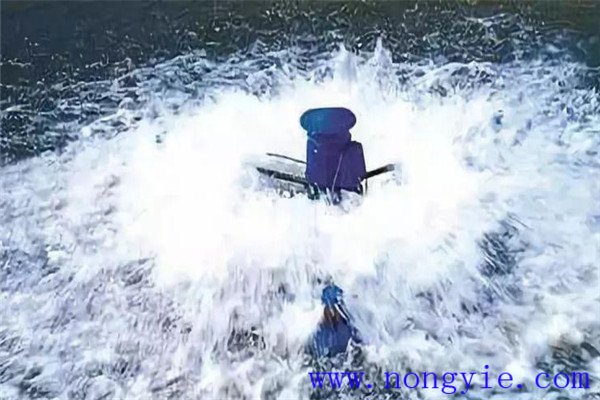 保，即保魚蝦健康