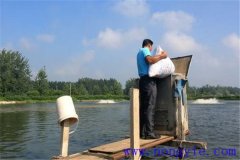 如何讓魚安全越冬，并降低魚體越冬期失重