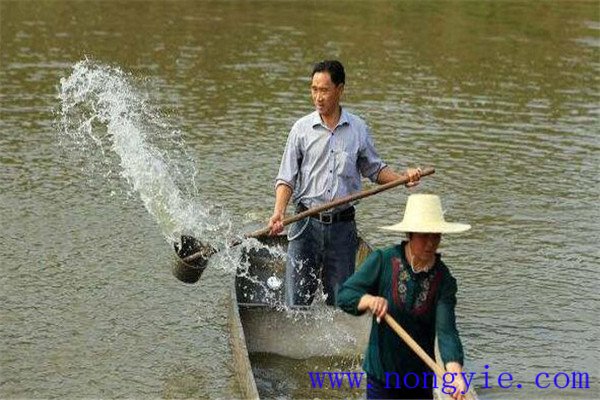 加強(qiáng)病害防治、講究安全用藥