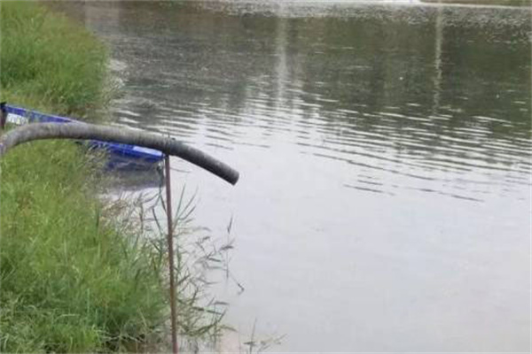 適時加水、換水