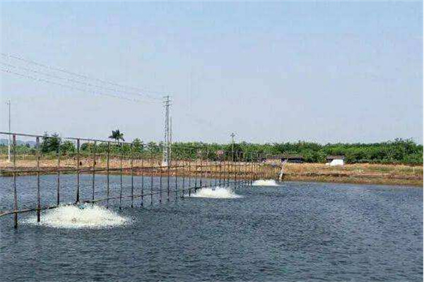 調(diào)節(jié)水質(zhì)、改良底質(zhì)