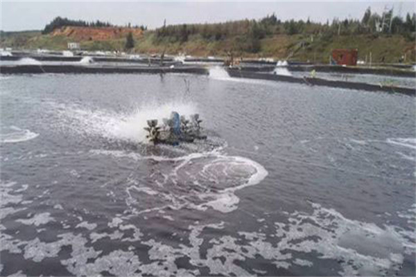 改善養(yǎng)殖條件