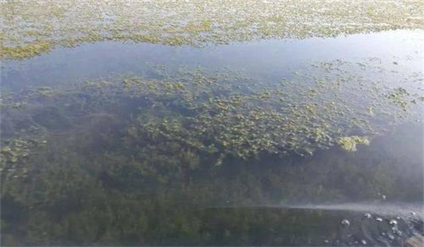 提供棲息、隱蔽場(chǎng)所