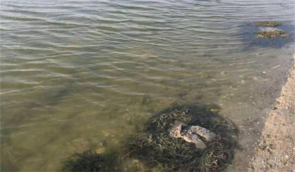 清整消毒、保證水質