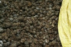 羊糞怎樣使用，羊糞與兔糞的肥效期是多長(zhǎng)時(shí)間