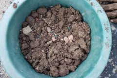 羊糞怎樣做養(yǎng)花肥料，可以直接放花盆表面嗎？