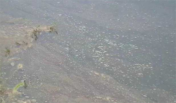 養(yǎng)殖池塘缺氧的原因是什么，有哪些防范措施