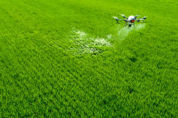 吡蟲啉的使用方法